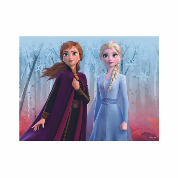 Dřevěné licenční kostky Frozen II – 12 kostek - slide 3