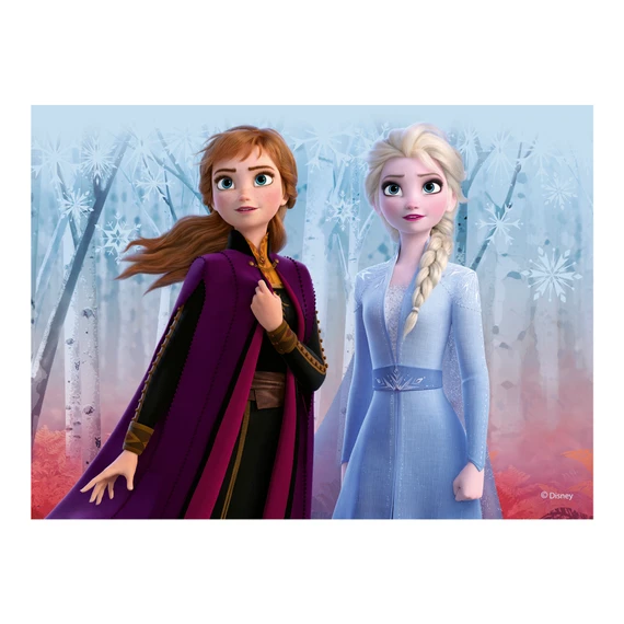 Dřevěné kostky Frozen II – 12 kostek - slide 1
